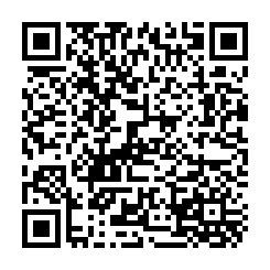 桃園前站三角窗金透店-QR CODE