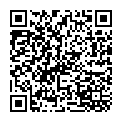 正中平路金店面-QR CODE