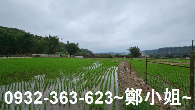 桃園農舍-3