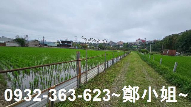 桃園農舍-4