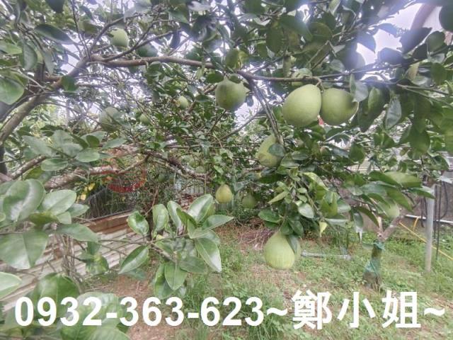 龍潭農舍-8
