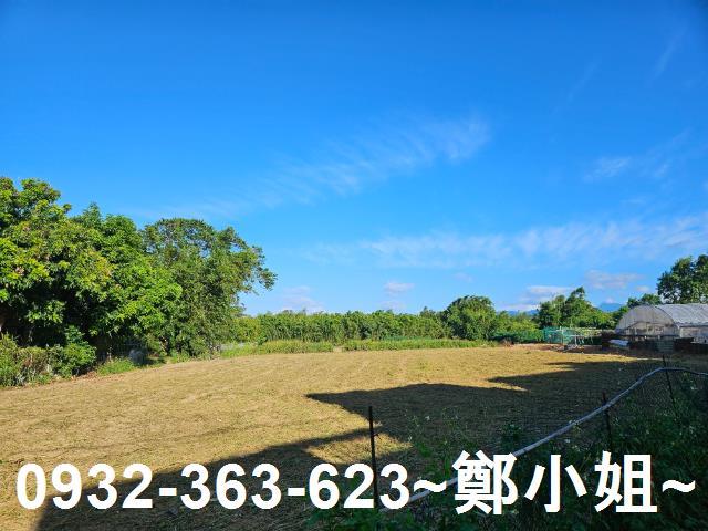 桃園八德農地-5