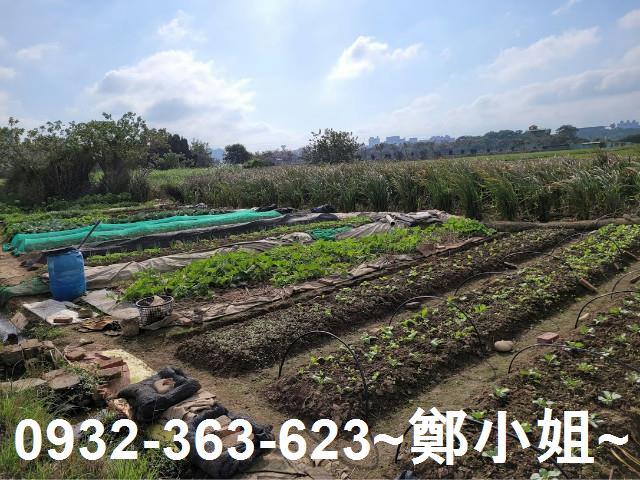桃園八德農地-9