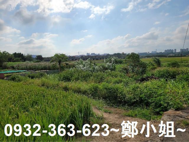 桃園八德農地-1