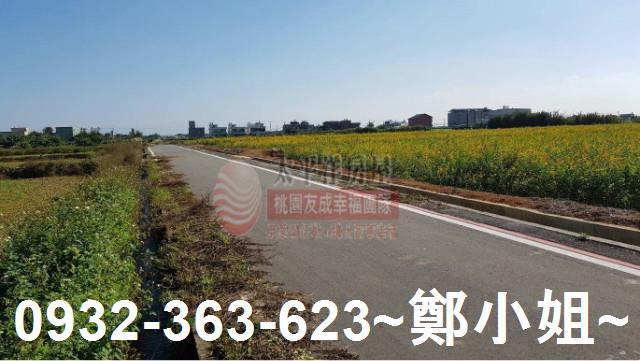 桃園觀音農地-1