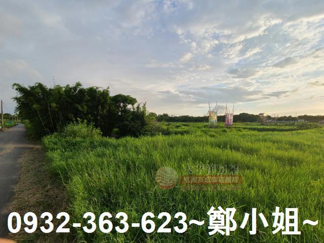 桃園中壢農地-1