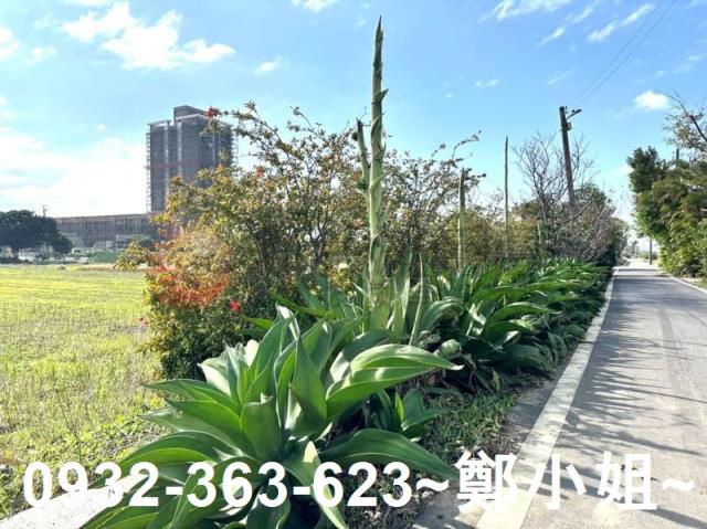 桃園楊梅農地-4