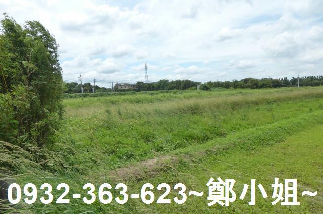 桃園觀音農地-3