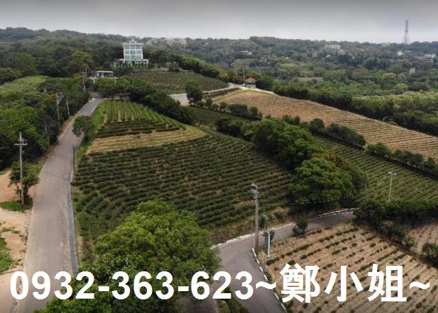 桃園龍潭農地-10