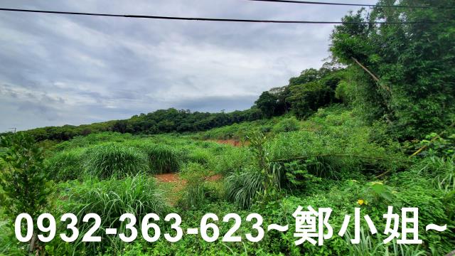 桃園龍潭農地-1