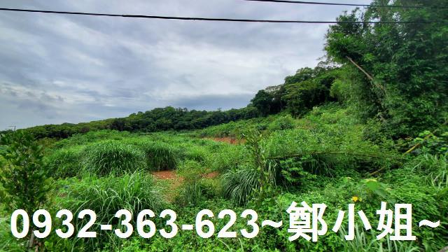 桃園龍潭農地-3