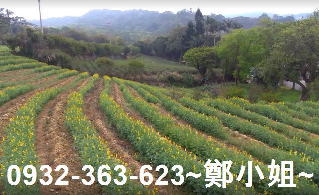 桃園龍潭農地-11