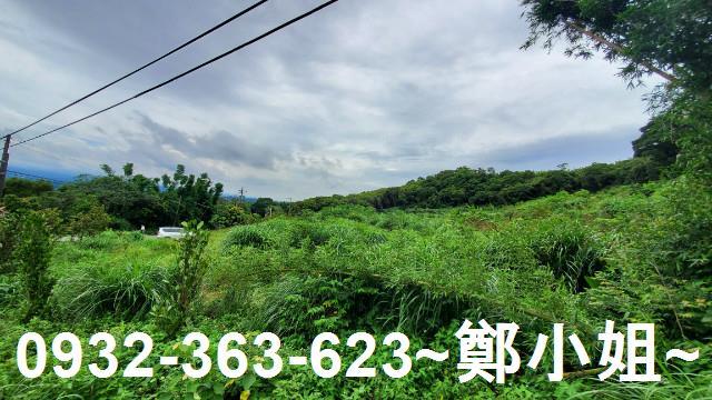 桃園龍潭農地-5