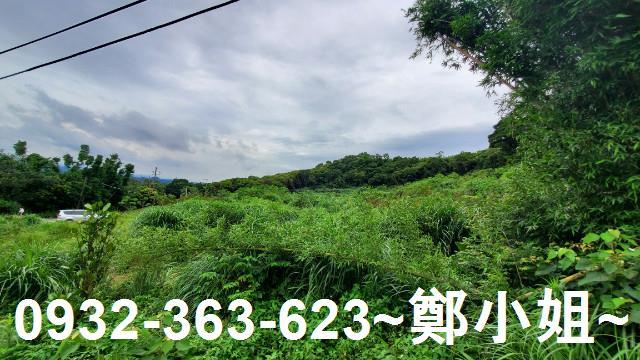 桃園龍潭農地-6