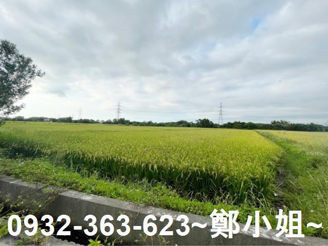 桃園新屋農地-1