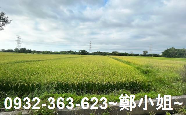 桃園新屋農地-3