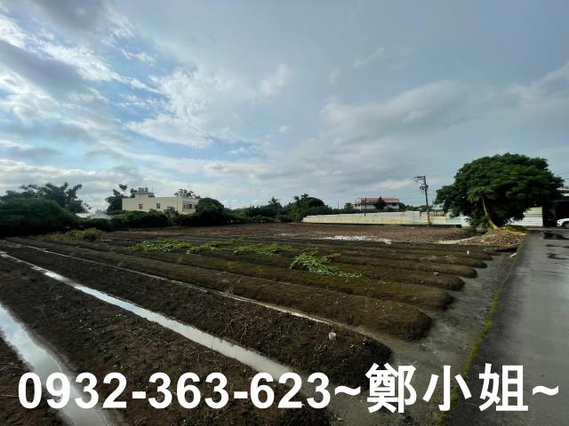 桃園八德農地-10