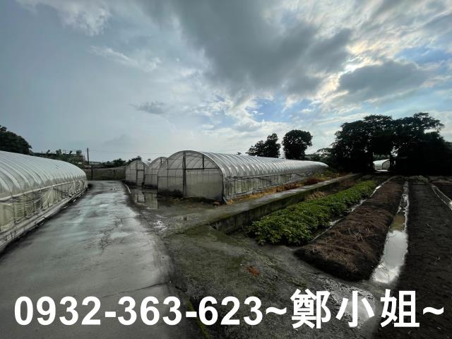 桃園八德農地-7