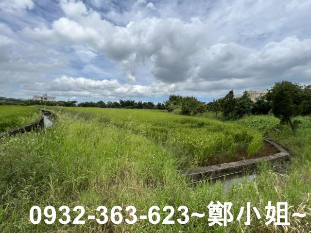 桃園蘆竹農地-9