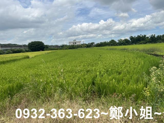 桃園蘆竹農地-12