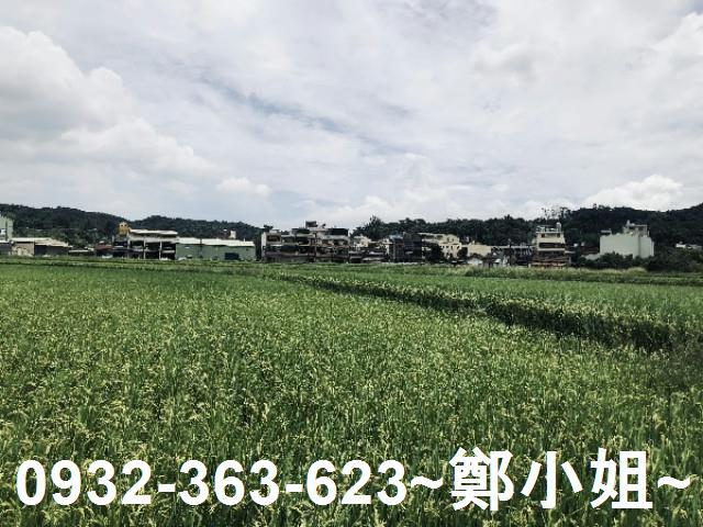桃園蘆竹農地-6
