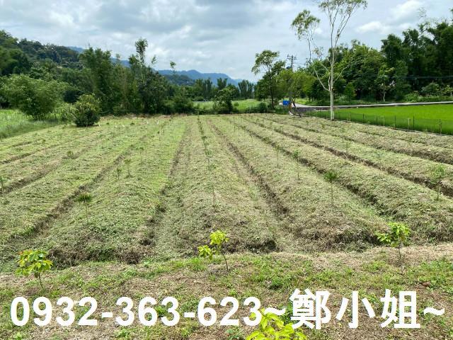 桃園大溪農地-0