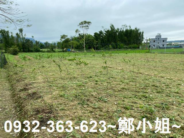 桃園大溪農地-5