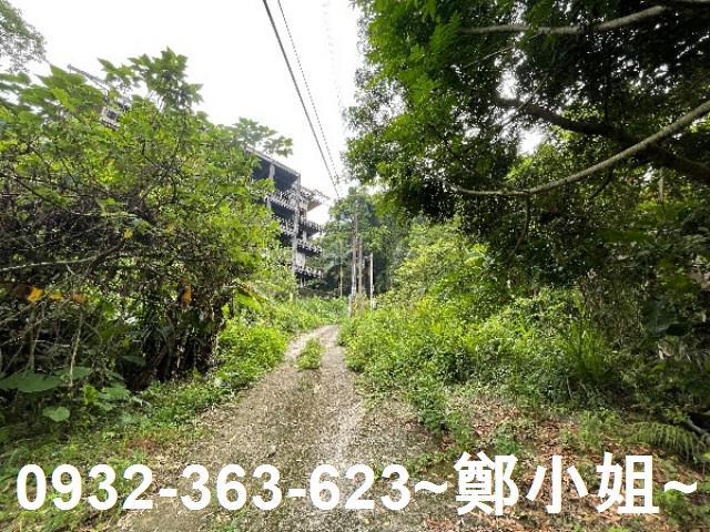 大溪農地-10