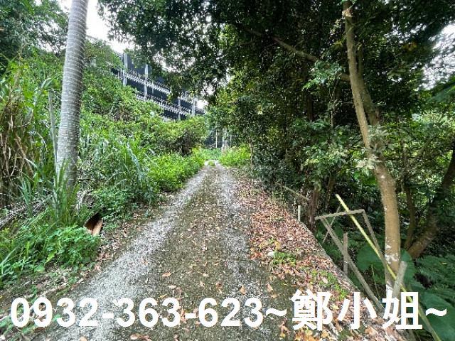 大溪農地-11