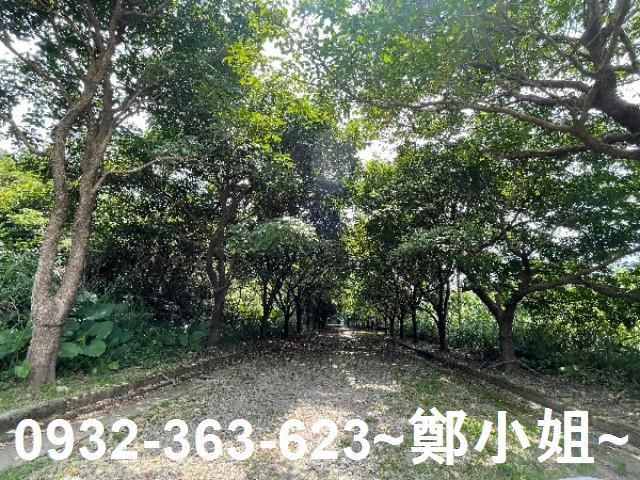 大溪農地-3