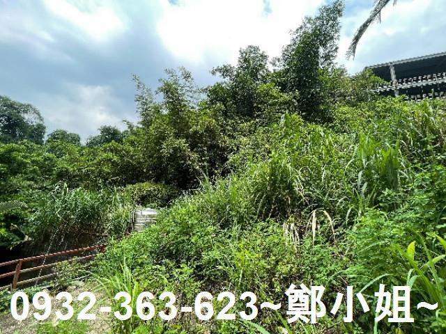 大溪農地-5