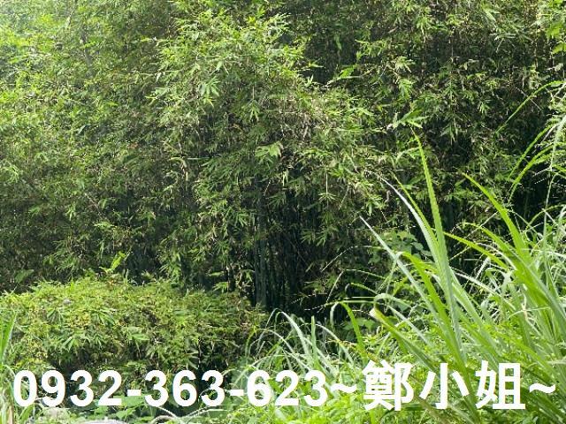 大溪農地-6