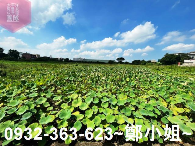 桃園農地-1