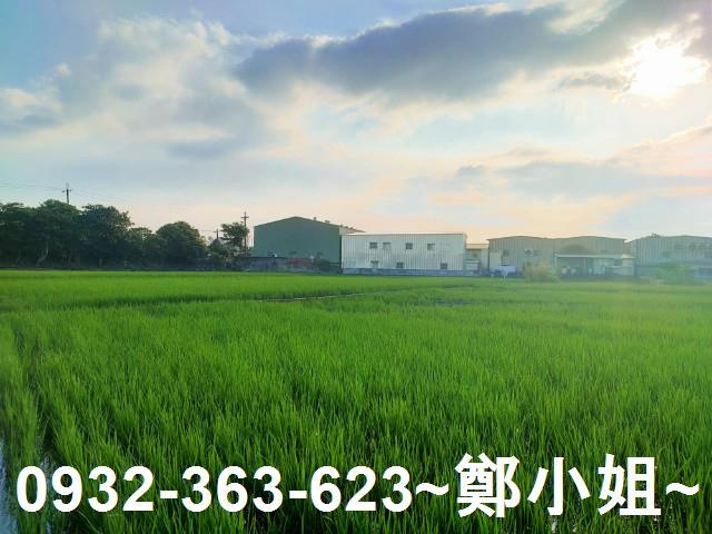 八德農地-6
