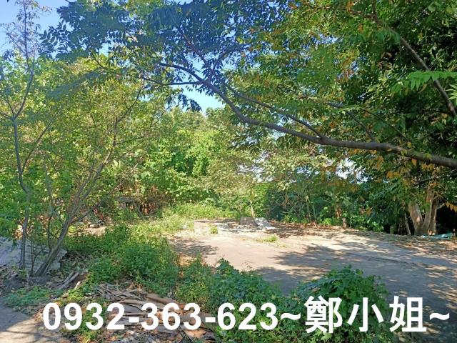 桃園桃園區農地-3