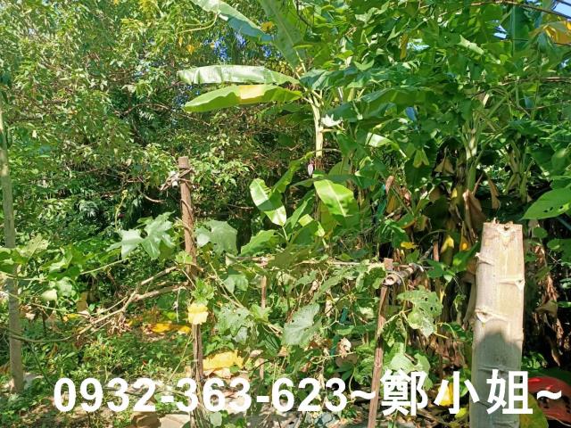 桃園桃園區農地-4