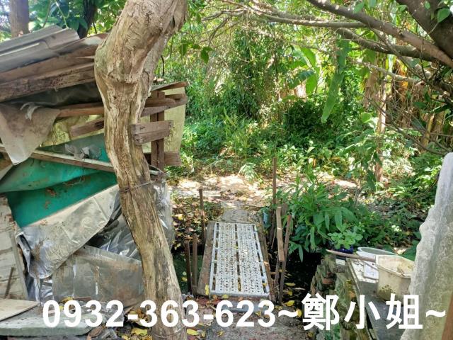 桃園桃園區農地-5