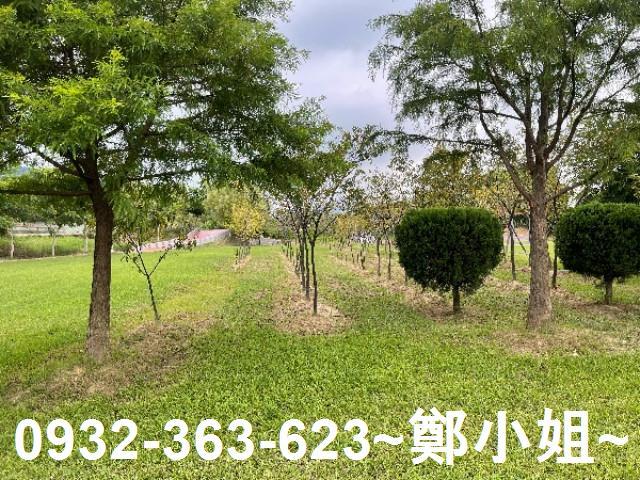 大溪農地-9