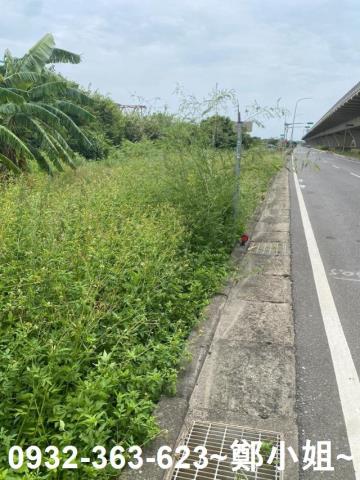桃園農地-6