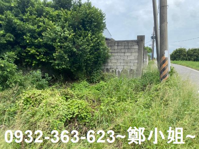 桃園農地-8