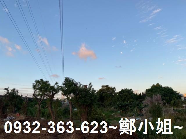 桃園區農地-1
