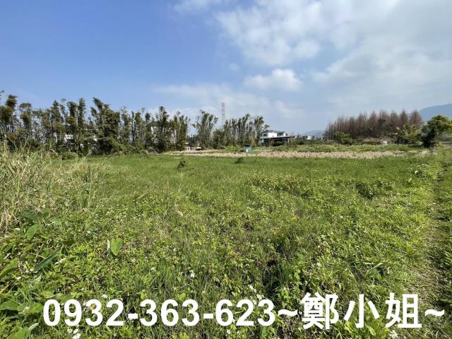 桃園龍潭農地-9