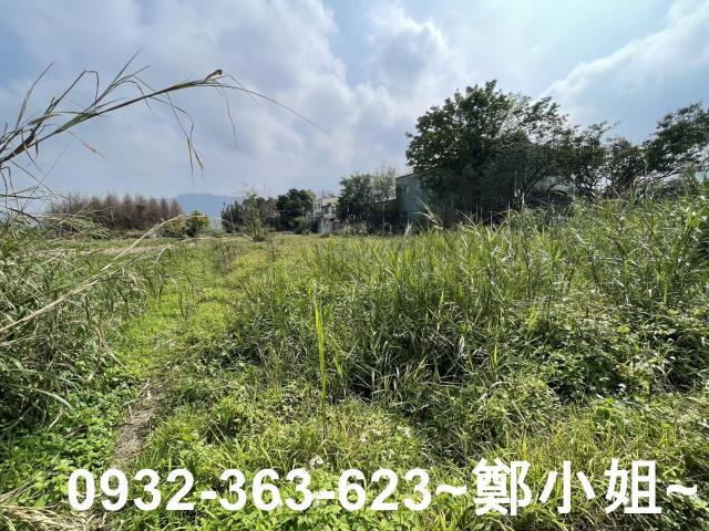 桃園龍潭農地-10