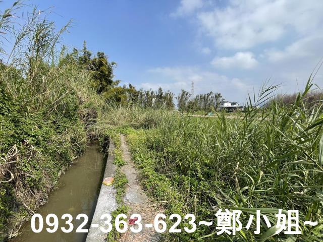 桃園龍潭農地-11