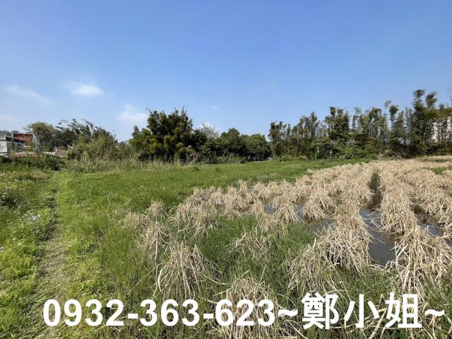 桃園龍潭農地-7