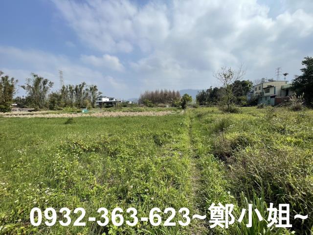 桃園龍潭農地-8
