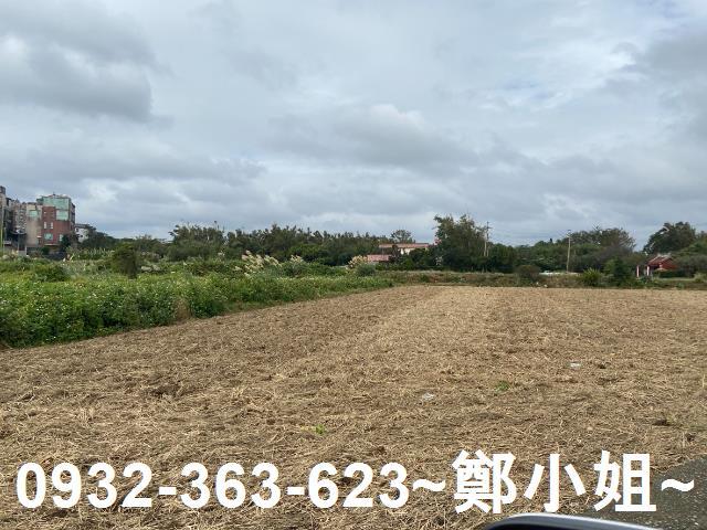 桃園農地-0