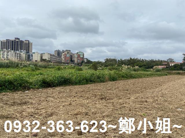 桃園農地-8