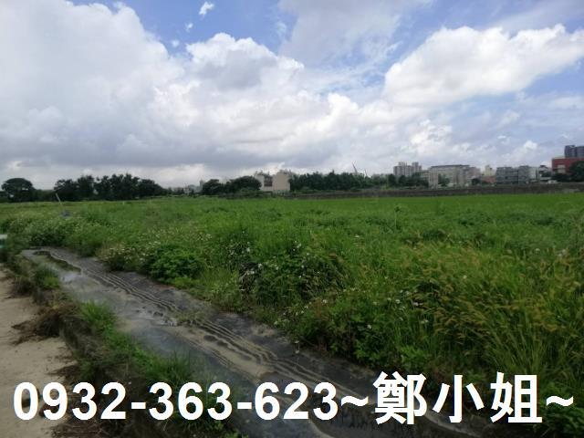 桃園區農地-9