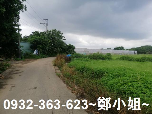 桃園區農地-10